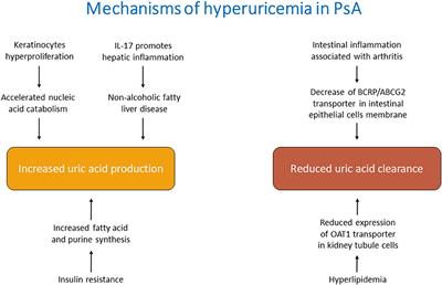 Frontiers Hyperuricemia In Psoriatic Arthritis Epidemiology